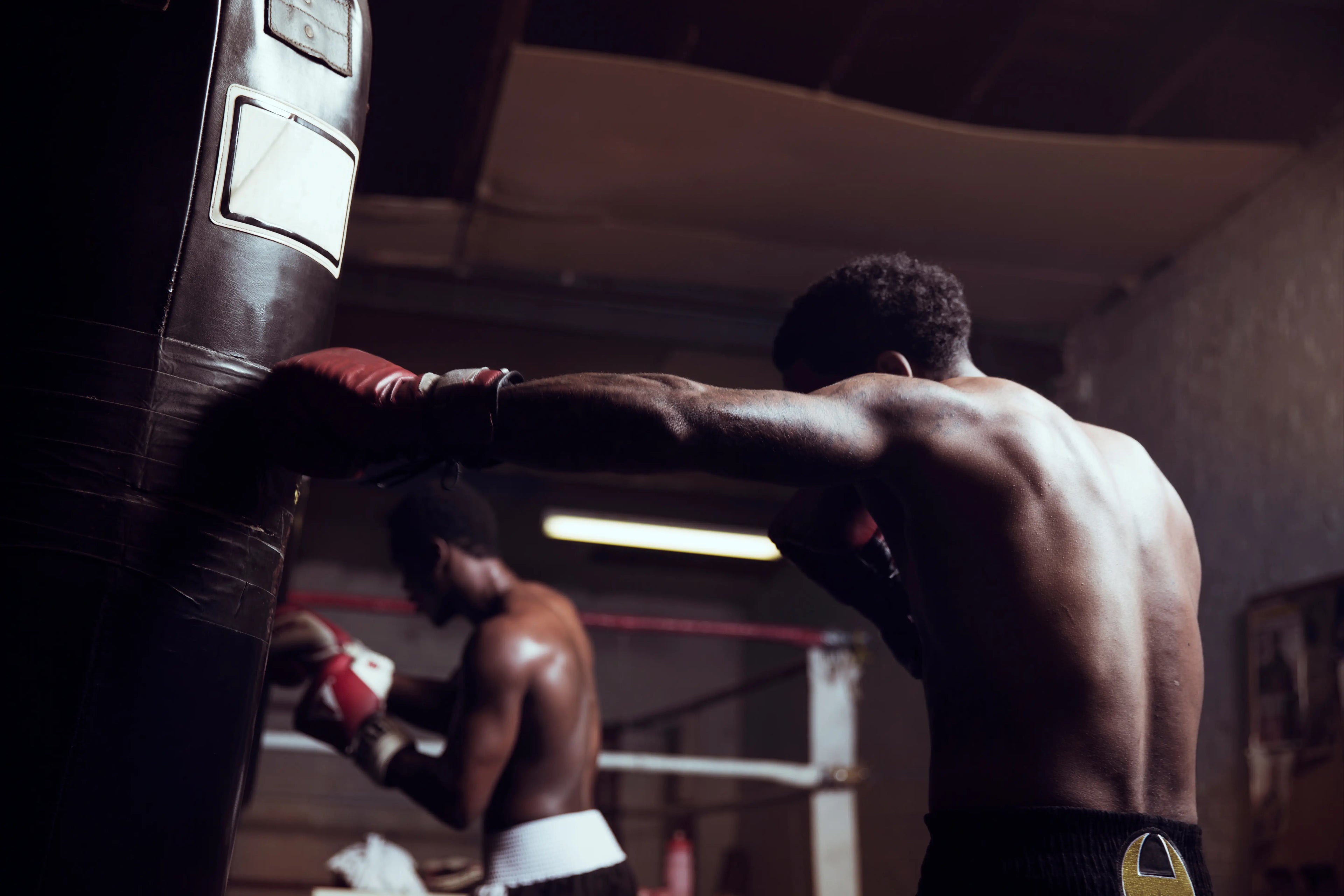 Punching Bag Buying Guide: Which Bag Do You Actually Need?