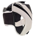 Morgan V2 Full Combat Style Head Guard