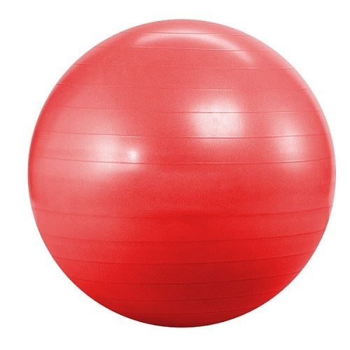 Morgan Gym Ball 55 CM
